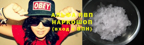 МДПВ Новозыбков