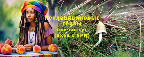 стафф Няндома
