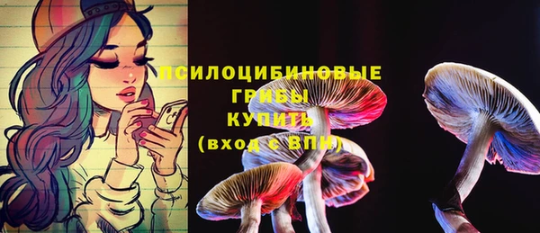 МДПВ Нязепетровск