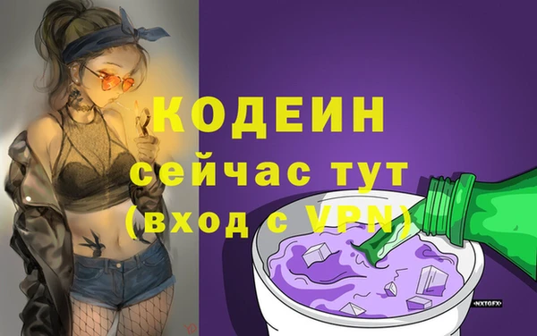 МДПВ Новозыбков