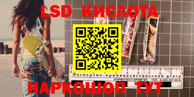 индика Заводоуковск