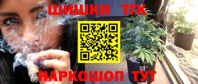 индика Заводоуковск