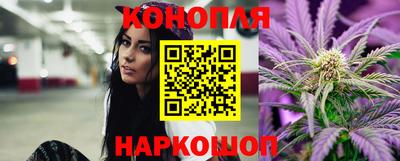 индика Заводоуковск