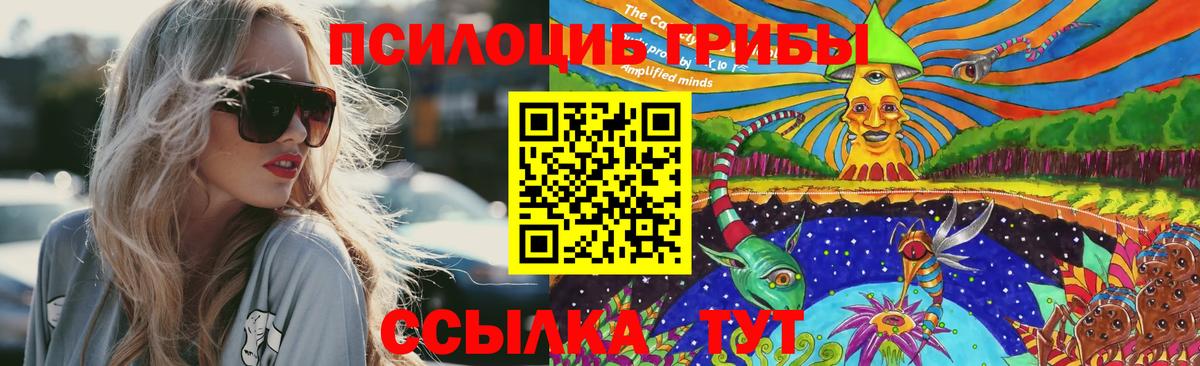 Галлюциногенные грибы Cubensis  Вход с VPN  Псилоцибиновые грибы ЛСД  Муравленко 