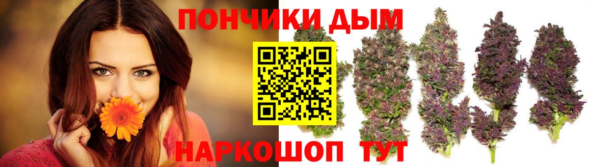 Бошки Шишки MAZAR Муравленко